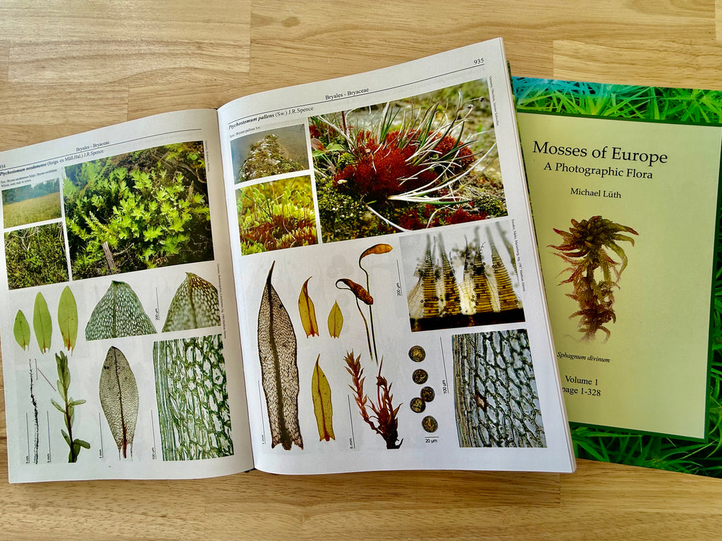 Mosses of Europe - A Photographic Flora